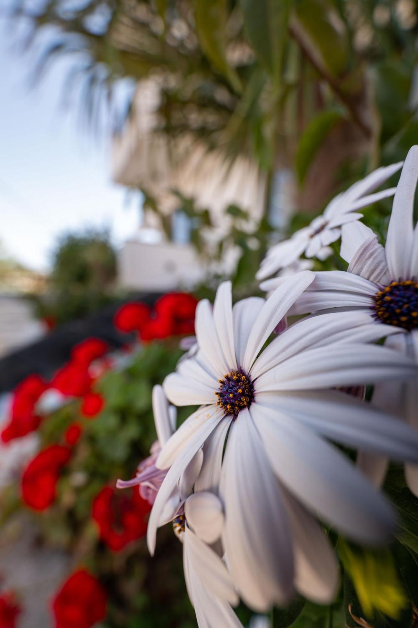 Guesthouse Siars Ksamil Exterior foto